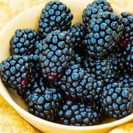 Саженец Ежевика Виктория в контейнере